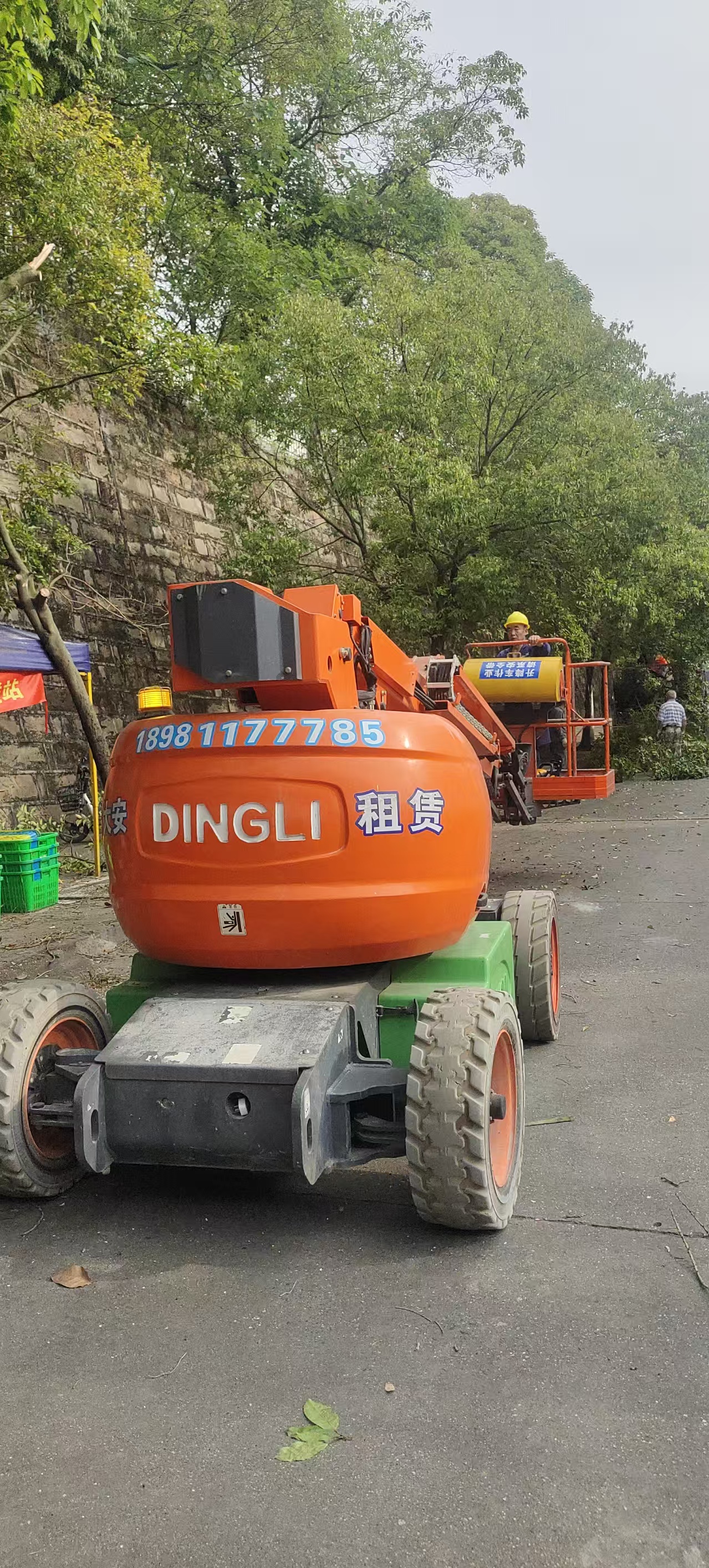 市政修剪路边树枝